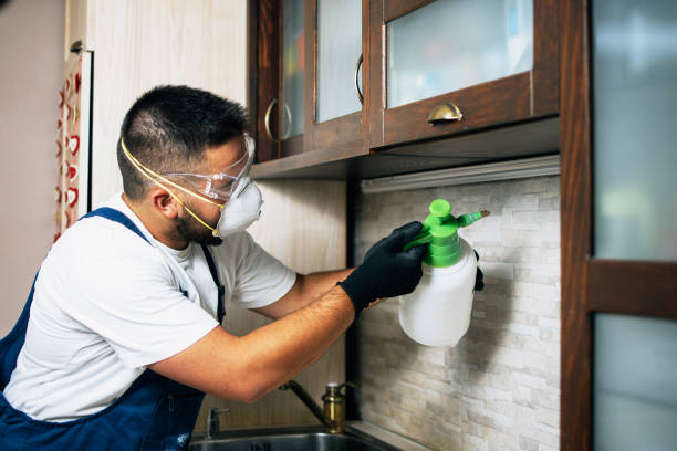 Best Flea Control Services  in , NJ