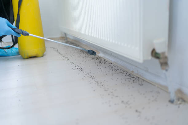 Best Pest Prevention Services  in , NJ