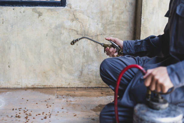 Best Best Pest Control Companies  in , NJ